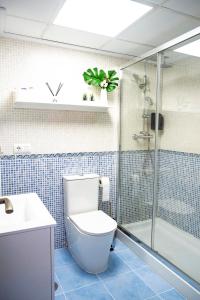 Apartamento Buen Camino