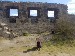 Ferienhaus Leopold mit Burgblick an der Mosel