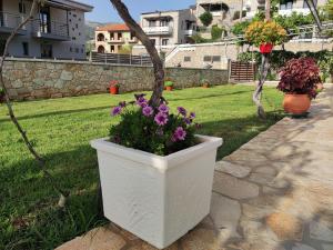 Syvota Apartments Cozy