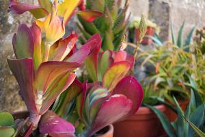 Antica Dimora dei Nonni