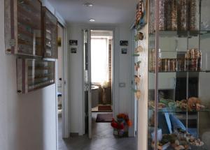 Una Conchiglia sul Mare Attico vista Portofino