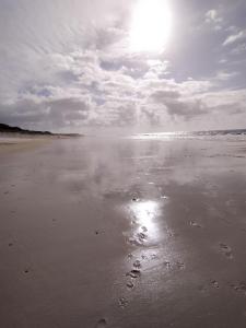 Maisons d'hotes charmante chambre sur le bassin d'Arcachon : photos des chambres