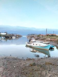 Maisons d'hotes charmante chambre sur le bassin d'Arcachon : photos des chambres