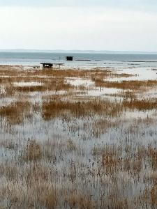 Maisons d'hotes charmante chambre sur le bassin d'Arcachon : photos des chambres