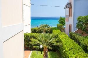 Apartments Alexandros - 3hvězdičkové hotely ve městě Polychrono