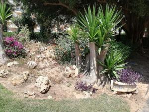 Acogedor,Apartamento.Piscina, Vistas, Terraza