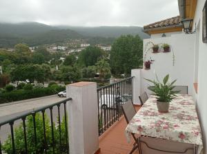 Balcón de El Bosque