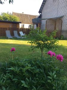 Apartament Pod Wiśnią