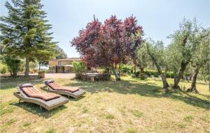Awesome home in Siena with 2 Bedrooms - AbcAlberghi.com