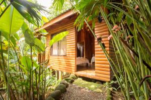 Arenal Rústic Lodge