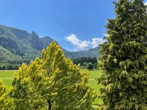 Geräumiges Domizil mit Bergblick und Sauna - Oberwössen