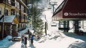 Beaver Creek Elkhorn Lodge 1 Bedroom Residence With Ski In, Ski Out Access And A Short Walk To Beaver Creek Village