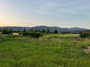 Cabanon bucolique face au Luberon