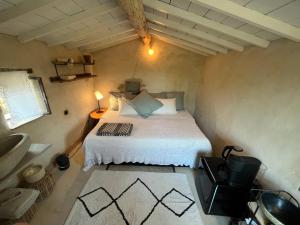 Cabanon bucolique face au Luberon