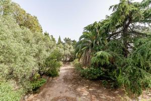 La Viguerie par Dodo-a-Cassis