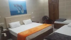 Krishna Dreams - Rāiwāla