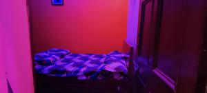 Startup House