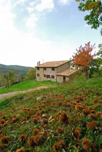 AGRITURISMO LA PIAGGIA appartamenti a Vivo DOrcia