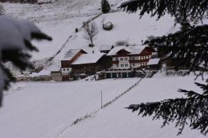 BioBauernhof Fresoldhof