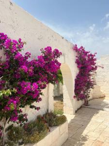 Masseria Piccole Taverne