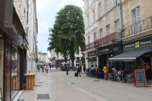 Sejours chez l'habitant Chambres Poitiers Centre Ville - Salle de Bain, Refrigerateur, TV et machine a cafe privatifs - Cuisine commune - Terrasse - Hotel de ville a 200m : photos des chambres