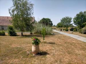 Maisons de vacances Gite a babord : photos des chambres