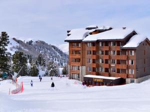 Appartement 2 pièces, skis aux pieds, terrasse, animaux admis, Belle Plagne - FR-1-181-2299
