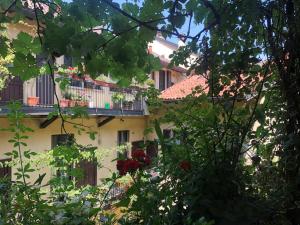 Il tetto fiorito dellIsola