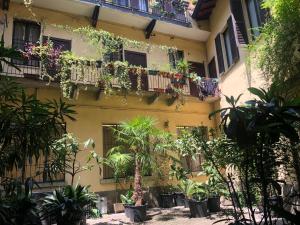 Il tetto fiorito dellIsola