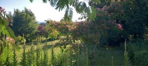 B&B / Chambres d'hotes AU SOLEIL COUCHANT : photos des chambres