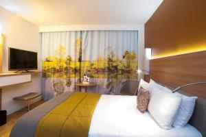 Hotels Hotel Mercure Macon Bord de Saone : photos des chambres