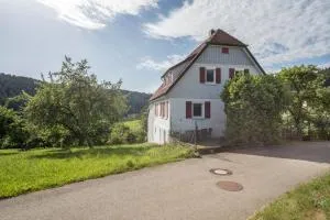 Ferienwohnung Schwarzwald Idyll - Glatten