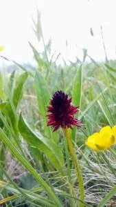 Casa Negritella - Piazza