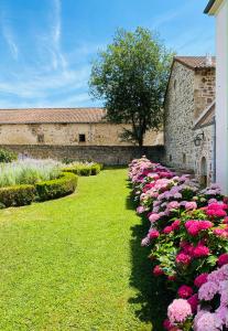 Appartements Les Hauts de CLuny : photos des chambres