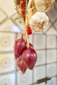 Casa Lalù - Rustic apartment with stunning views