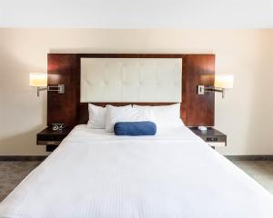 The Wave room in Aqua Blue Hotel