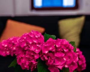 Comfort & Style - KISELEFF - ARCUL DE TRIUMF -