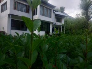 AL-AYAAN GUEST HOUSE