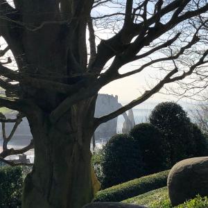 B&B / Chambres d'hotes Cote PECHEUR : photos des chambres