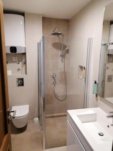 Apartman 305 u Vili Borova