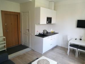 Vilnius Town Apartmen