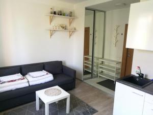 Vilnius Town Apartmen