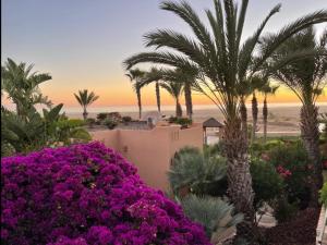 Paradis Plage Pieds dans leau - Superbe Appartement & Jaccuzi