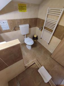 Casa Rezidentiala Pasteur