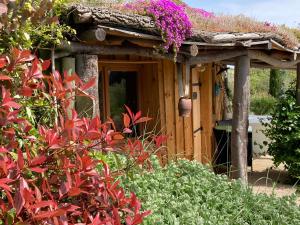 B&B / Chambres d'hotes Cabanes Tresors de Campagne,spas privatifs : photos des chambres