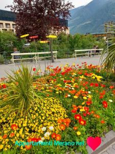 Portico 32 - Merano centro