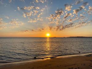 Tiny house sur terrain boisé à 10 mn de la mer