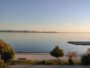 Apartmani Živković - 迪可罗