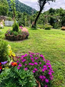 DreamLand Lagodekhi & Wine Cellar - Tsada