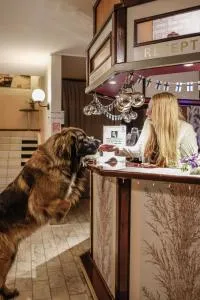 Huoneistohotelli Tarjanne Virrat - Sapsalampi